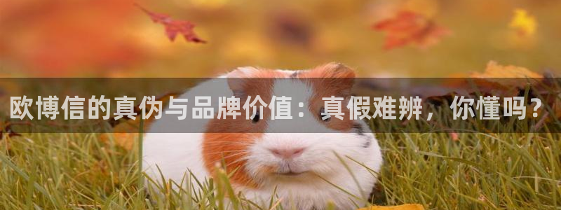 壹号大舞台下载链接