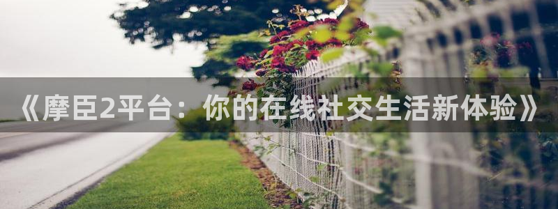 壹号大舞台官网入口