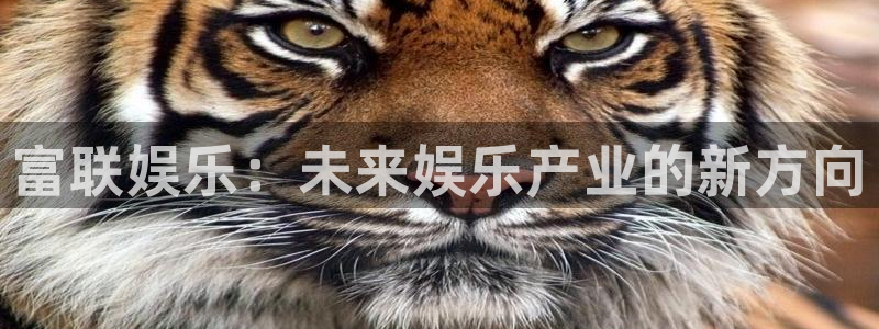 万赢娱乐科技赋能,让平台更有趣
