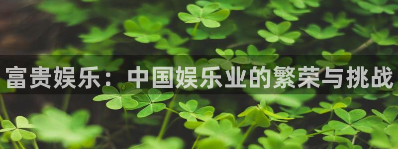 壹号大舞台娱乐传媒