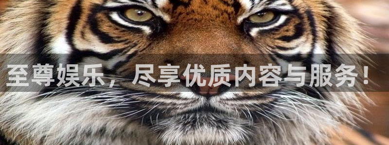 壹号app官网