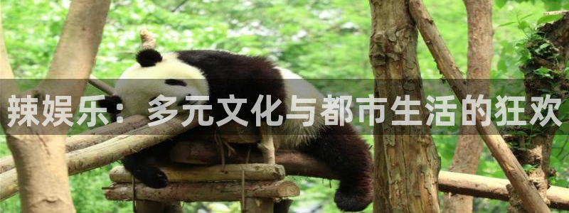 万赢娱乐,apk.
