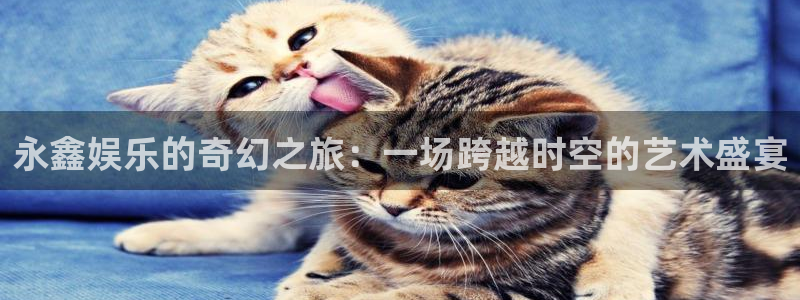 壹号大舞台娱乐传媒
