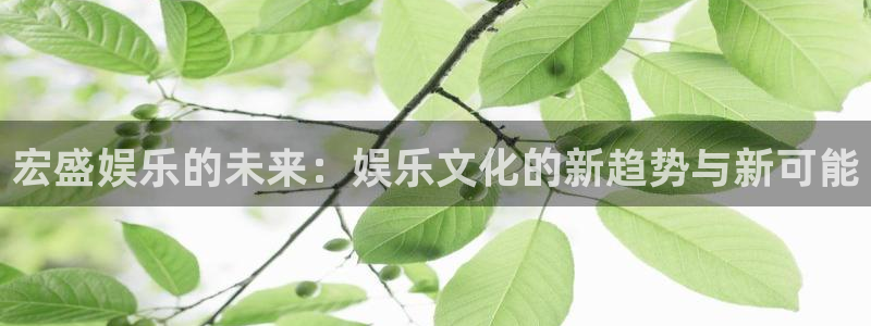 壹号app官网版下载
