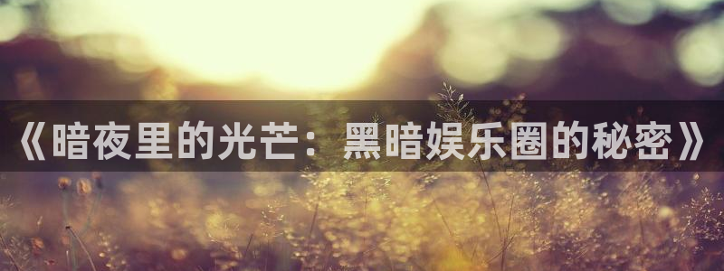 壹号大舞台下载