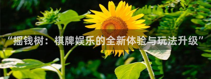 壹号电子娱乐app下载官网