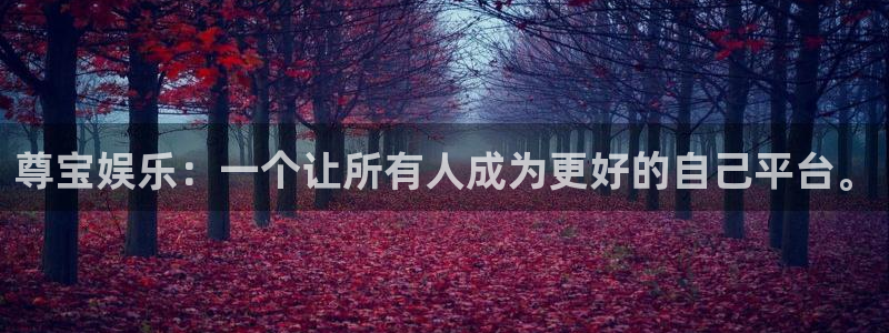 万赢娱乐,apk.：尊宝娱乐：一个让所有人成为更好的自己平台。
