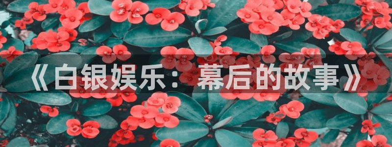 万赢娱乐,apk.1
