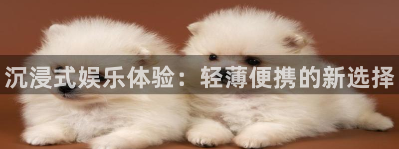 万赢娱乐下载