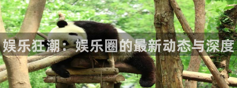 万赢娱乐app下载官网
