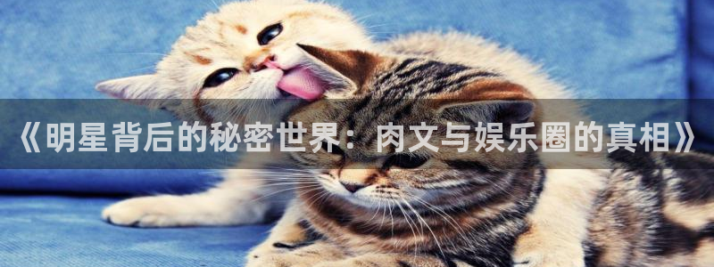 壹号大舞台怎么下载