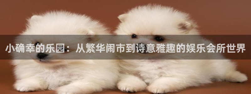 壹号大舞台下载
