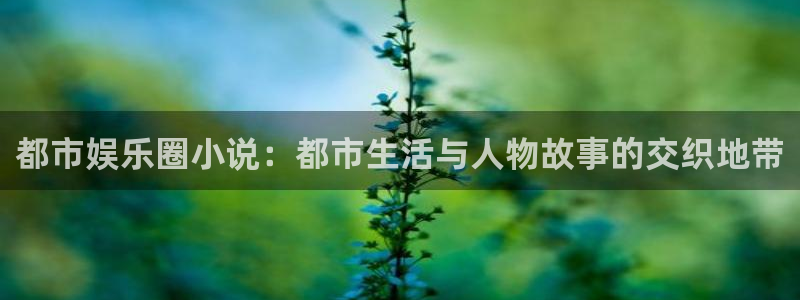 壹号平台app下载安装