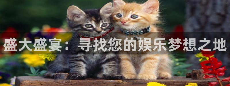 万赢娱乐官方app下载安装：盛大盛宴：寻找您的娱乐梦想之地